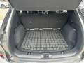 Ford Kuga Kuga 2.5 full hybrid ST-Line X 2wd 190cv cvt Grigio - thumbnail 8
