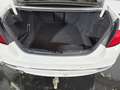 BMW 530 d xDrive Luxury Line Aut. Weiß - thumbnail 13