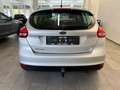 Ford Focus 1,6 Ti-VCT 63kW Trend *AHK * Plateado - thumbnail 6