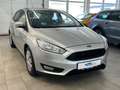 Ford Focus 1,6 Ti-VCT 63kW Trend *AHK * Plateado - thumbnail 3