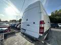 Mercedes-Benz Sprinter 516 CDI 37S 3T5 Blanc - thumbnail 4