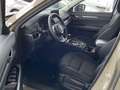 Mazda CX-5 2.5 Advantage AUTOMATIK Бежевый  - thumbnail 5