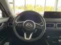 Mazda CX-5 2.5 Advantage AUTOMATIK Бежевый  - thumbnail 11