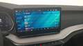 Skoda Octavia Selection TDI DSG Grau - thumbnail 18