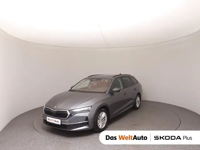 2025 Skoda Octavia in Grey for sale