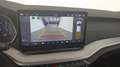Skoda Octavia Selection TDI DSG Grau - thumbnail 21