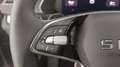 Skoda Octavia Selection TDI DSG Grau - thumbnail 16
