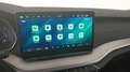 Skoda Octavia Selection TDI DSG Grau - thumbnail 19