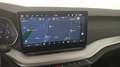 Skoda Octavia Selection TDI DSG Grau - thumbnail 20