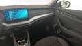 Skoda Octavia Selection TDI DSG Grau - thumbnail 13