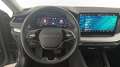 Skoda Octavia Selection TDI DSG Grau - thumbnail 14