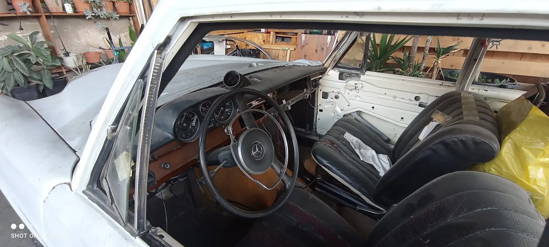 Mercedes-Benz 250 SE Bianco - 1