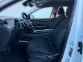 Hyundai TUCSON 1.6 Basis Plug-In Hybrid 4WD Automatik Weiß - thumbnail 10