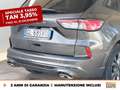 Ford Kuga 1.5 ecoblue st-line 2wd 120cv Grigio - thumbnail 18