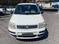 Fiat Panda Panda 1.3 mjt 16v Dynamic Bianco - thumbnail 1