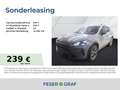 CUPRA Formentor 1.5 eTSI 110 kW INTELLIGENT|EDGE|NAVI|GRJ Grau - thumbnail 1