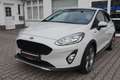 Ford Fiesta 1.0 EcoBoost S&S Aut. ACTIVE Weiß - thumbnail 15