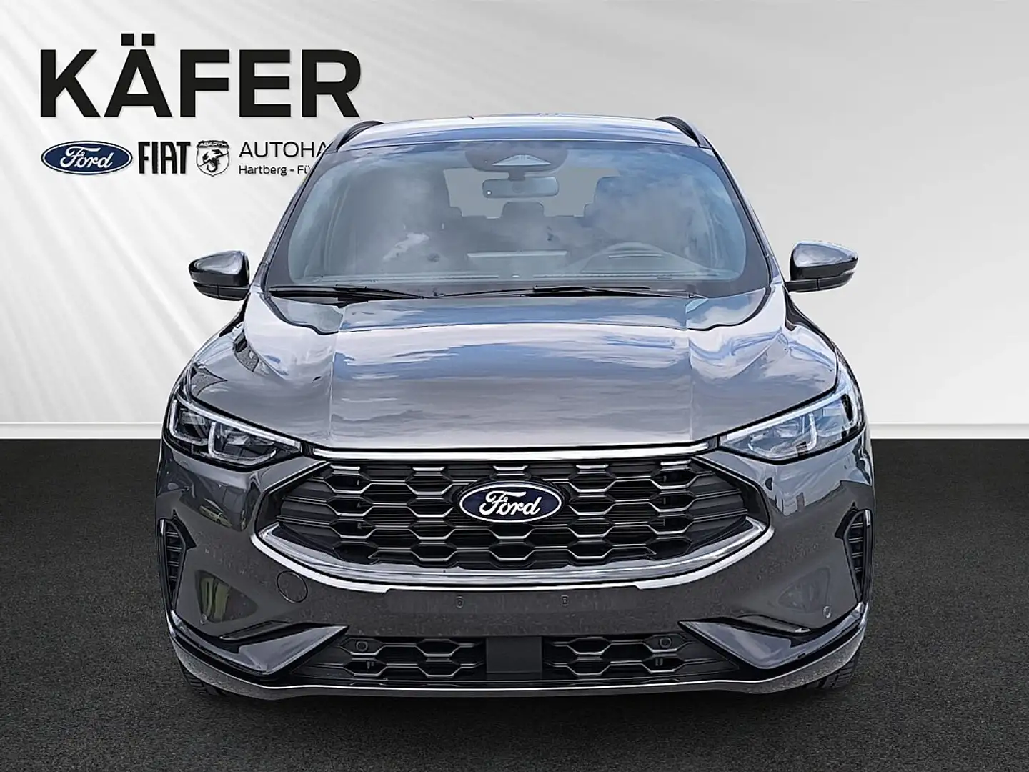 Ford Kuga 2,5 Duratec FHEV ST-Line Aut. Gris - 2