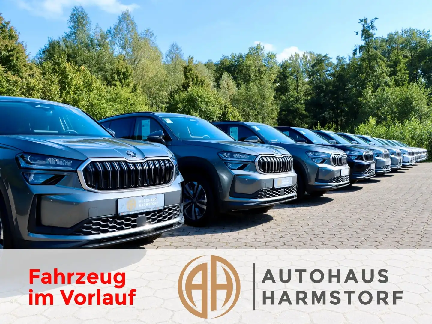 Opel Grandland X Ultimate AHK Navi LED 360 Grad Negro - 1