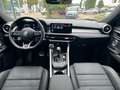 Alfa Romeo Tonale Veloce 1.6 VGT-D Harman-Kardon Rot - thumbnail 13