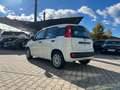 Fiat New Panda 1.2 8V Easy *Sitzheizung Klima DAB+ NS Blanco - thumbnail 2