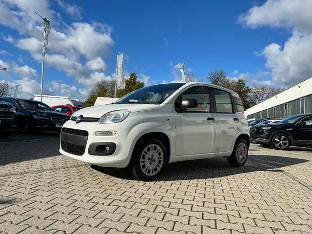 Fiat New Panda 1.2 8V Easy *Sitzheizung Klima DAB+ NS