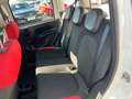 Fiat New Panda 1.2 8V Easy *Sitzheizung Klima DAB+ NS Blanco - thumbnail 13