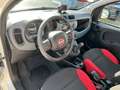 Fiat New Panda 1.2 8V Easy *Sitzheizung Klima DAB+ NS Blanco - thumbnail 9
