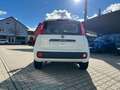 Fiat New Panda 1.2 8V Easy *Sitzheizung Klima DAB+ NS Blanco - thumbnail 3