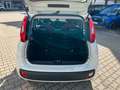 Fiat New Panda 1.2 8V Easy *Sitzheizung Klima DAB+ NS Blanco - thumbnail 7