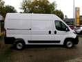 Opel Movano KastenL2H2 Cargo-P.KameraKlima verst.Fed. Weiß - thumbnail 4