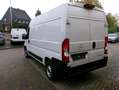 Opel Movano KastenL2H2 Cargo-P.KameraKlima verst.Fed. Weiß - thumbnail 3