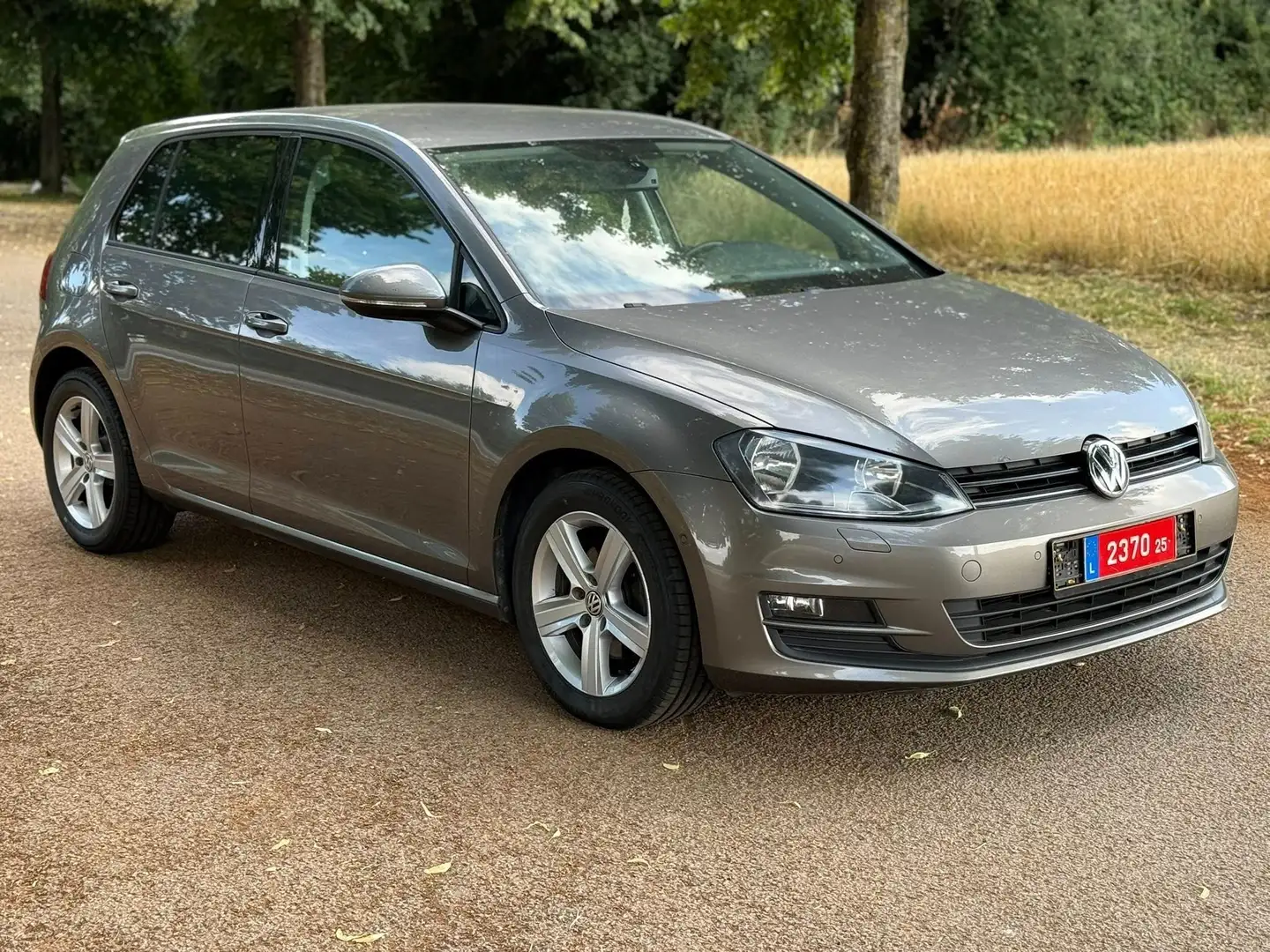 Volkswagen Golf Golf 1.6 TDI 105 BlueMotion Technology Argent - 1