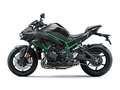 Kawasaki Z H2 Performance-Edition Gris - thumbnail 4