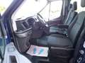 Ford Transit 350 L2 Pritsche Plane DoKa 7-Sitzer+4x4+SHZ+Klima Bleu - thumbnail 14