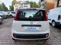 Fiat Panda 1.3 MJT 95 CV S&S Lounge Beige - thumbnail 4