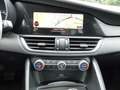 Alfa Romeo Giulia 2.2 Diesel AT8 Super Leder,Navi,Bi-Xenon Gris - thumbnail 14