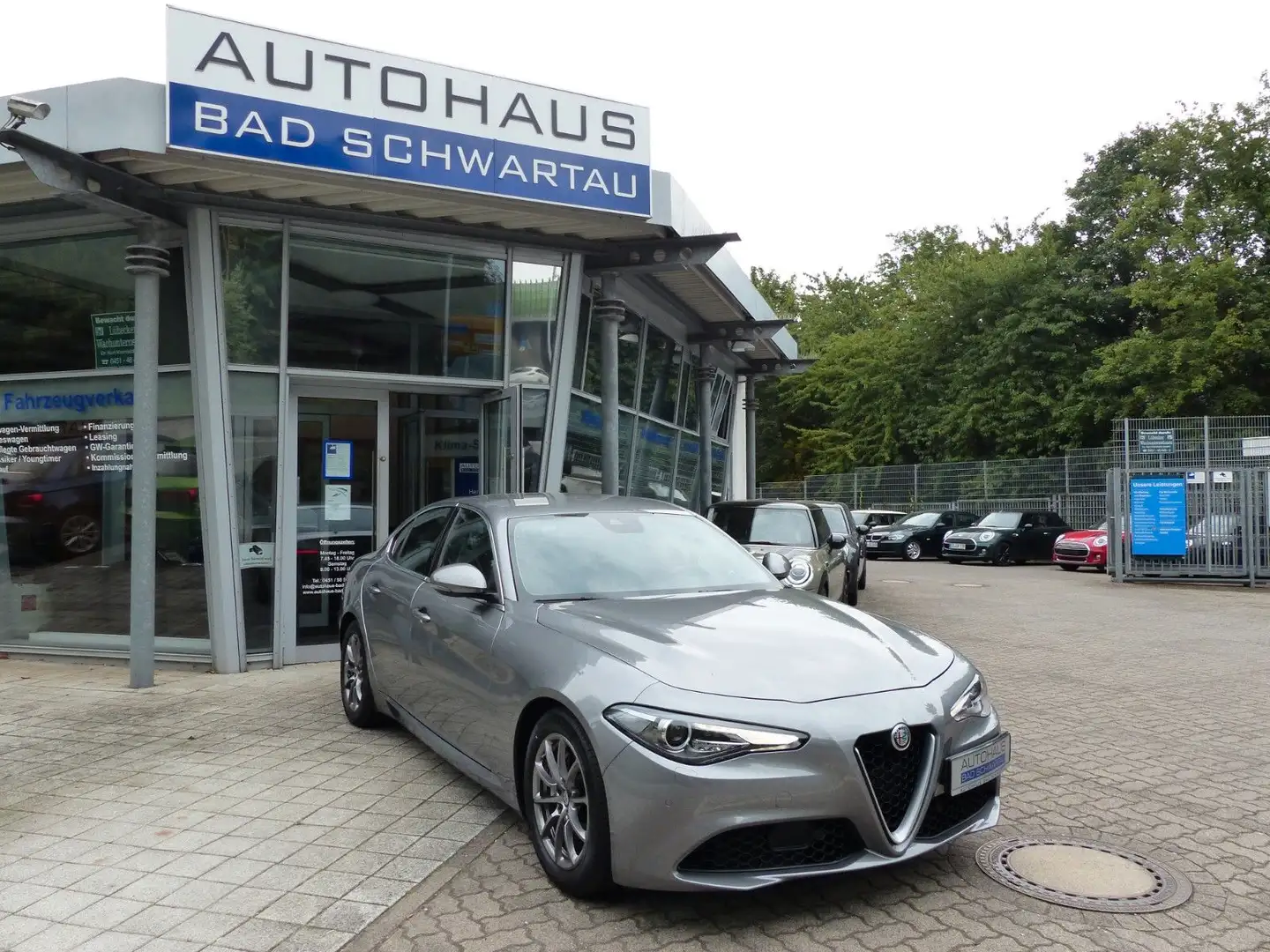 Alfa Romeo Giulia 2.2 Diesel AT8 Super Leder,Navi,Bi-Xenon Gris - 1