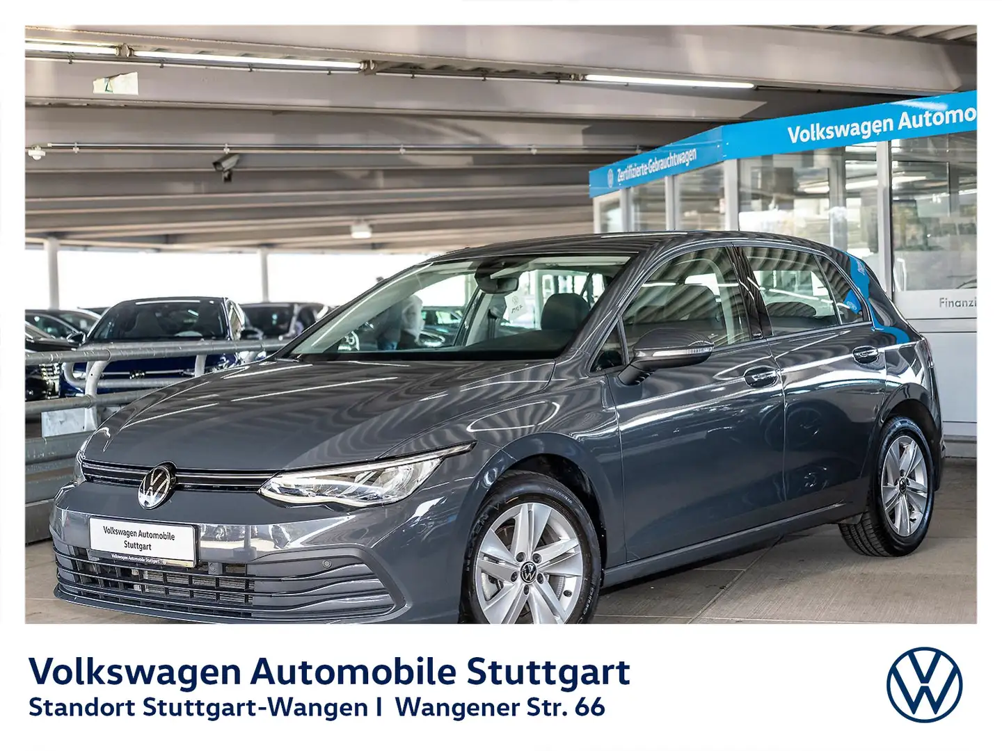 Volkswagen Golf Life 1.5 TSI Navi Kamera LED ACC SHZ Grau - 1
