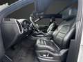 Porsche Cayenne PANO KAM AHK 360° MEMO Weiß - thumbnail 10
