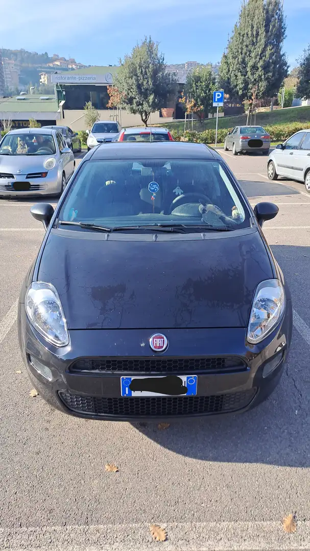 Fiat Punto Evo PUNTO 1.2 8V 5 PORTE STREET Nero - 2
