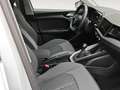 Audi A1 BERLINA CON PORTON 1.0 30 TFSI S TR ADRENAL BLACK Blanco - thumbnail 6