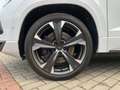 CUPRA Ateca 2.0 TSI 4Drive NAVI+AHK+PANO+360 Weiß - thumbnail 13