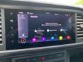 CUPRA Ateca 2.0 TSI 4Drive NAVI+AHK+PANO+360 Weiß - thumbnail 44