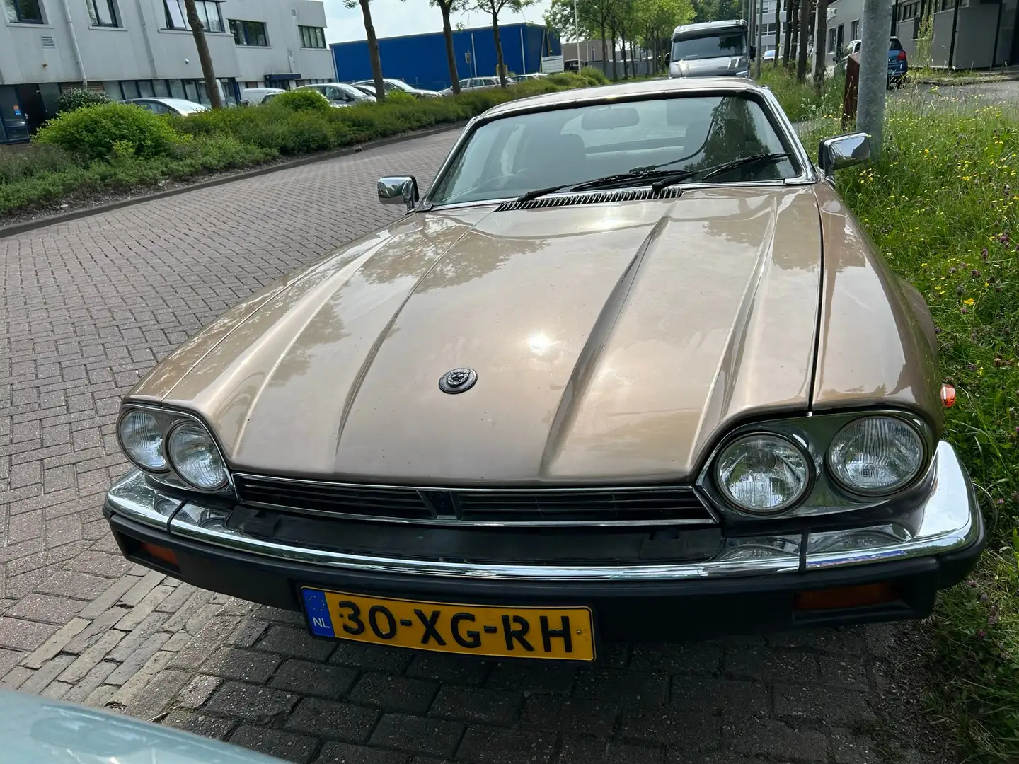 Jaguar XJS XJS 3.6 Coupé Beige - 1