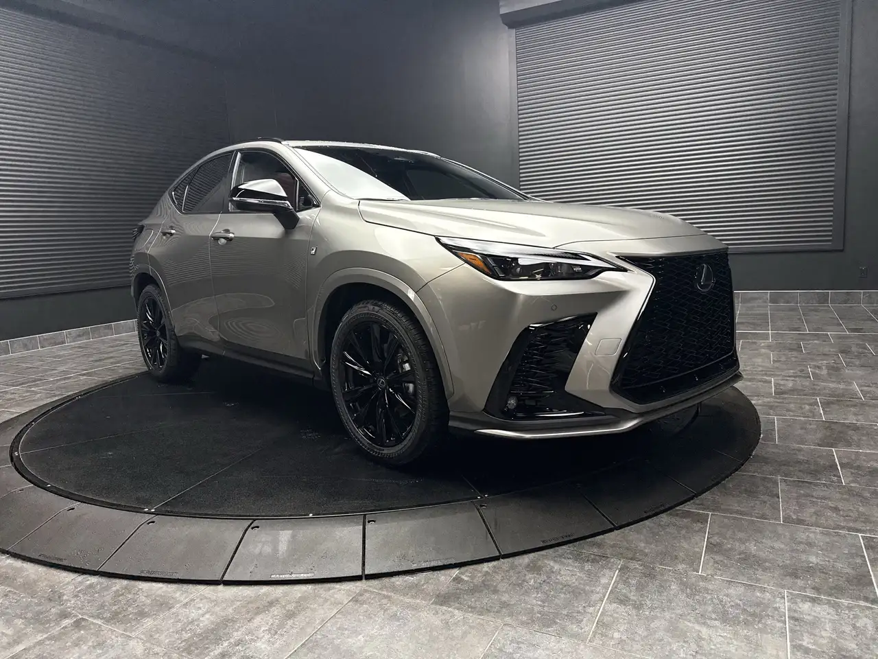 Lexus NX снимка Lexus NX