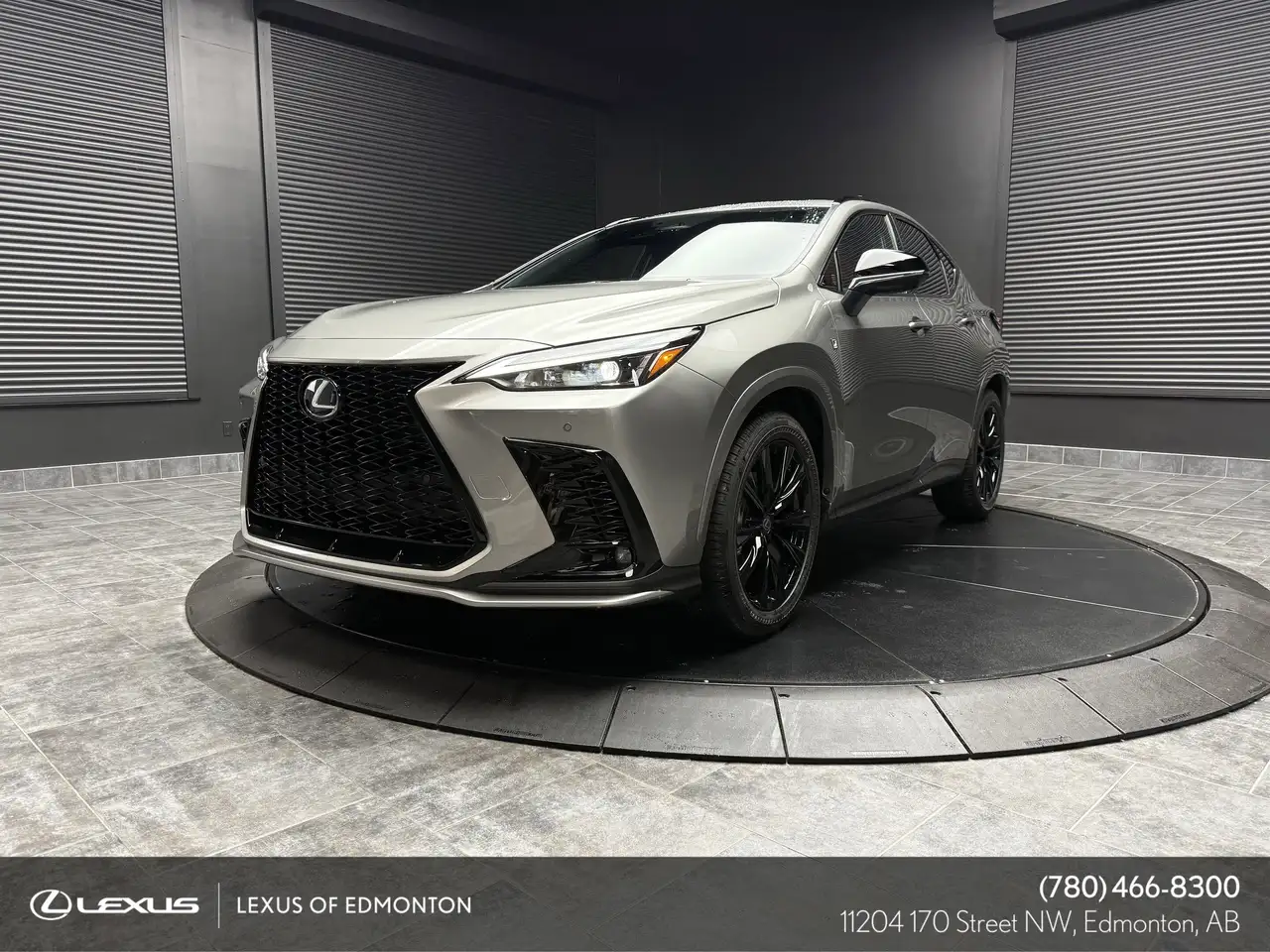 Lexus NX снимка Lexus NX