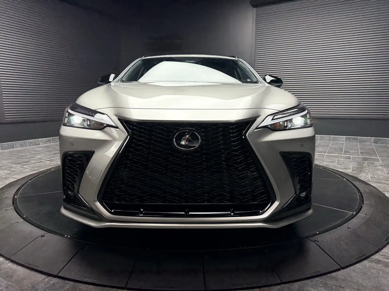 Lexus NX снимка Lexus NX