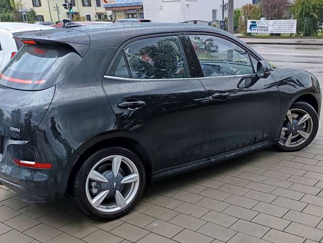 Ora Funky Cat Funky Cat 300