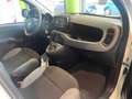 Fiat Panda 1.0 FireFly S&S Hybrid  City Cross Blanc - thumbnail 12